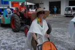 La sátira se adueña de las calles de Vila-real en la cavalgada de Festes