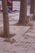 Fotografia /Galeria/2012/6/67459_35746/4_M1.jpg