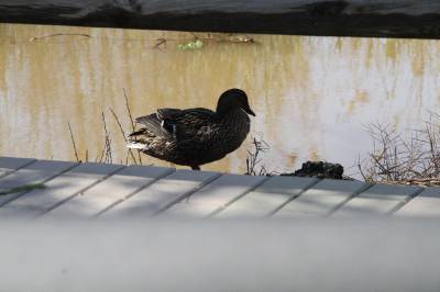 Fotografia /Galeria/2012/6/67811_35961/2_M1.jpg