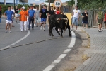 Les Alqueries de Santa Bárbara celebran el tradicional \'bou en corda\'
