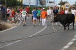 Les Alqueries de Santa Bárbara celebran el tradicional \'bou en corda\'