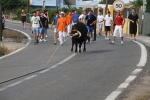 Les Alqueries de Santa Bárbara celebran el tradicional \'bou en corda\'