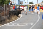 Les Alqueries de Santa Bárbara celebran el tradicional \'bou en corda\'