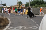 Les Alqueries de Santa Bárbara celebran el tradicional \'bou en corda\'