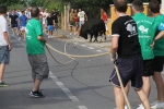 Les Alqueries de Santa Bárbara celebran el tradicional \'bou en corda\'