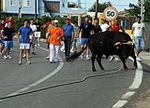 Fotografia /Galeria/2012/6/68127_36145/1_M1.jpg