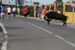 Les Alqueries de Santa Bárbara celebran el tradicional \'bou en corda\'