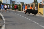 Les Alqueries de Santa Bárbara celebran el tradicional \'bou en corda\'