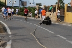 Les Alqueries de Santa Bárbara celebran el tradicional \'bou en corda\'