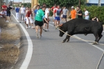 Les Alqueries de Santa Bárbara celebran el tradicional \'bou en corda\'