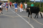 Les Alqueries de Santa Bárbara celebran el tradicional \'bou en corda\'