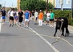 Fotografia /Galeria/2012/6/68127_36145/2_M1.jpg