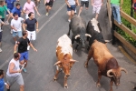 Encierro rápido y sin incidentes de Juan Faet en la Vall d\'Uixó