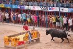 Encierro rápido y sin incidentes de Juan Faet en la Vall d\'Uixó