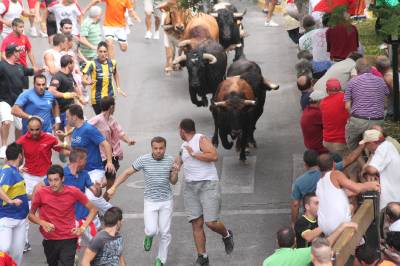 Fotografia /Galeria/2012/7/70022_37208/5_M1.jpg