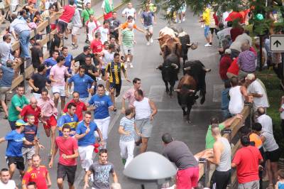 Fotografia /Galeria/2012/7/70022_37208/6_M1.jpg