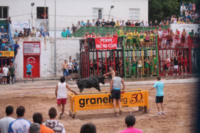 Fotografia /Galeria/2012/7/70023_37209/2_M1.jpg