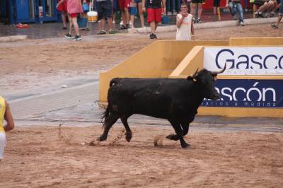 Fotografia /Galeria/2012/7/70023_37209/3_M1.jpg