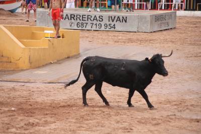 Fotografia /Galeria/2012/7/70023_37209/4_M1.jpg