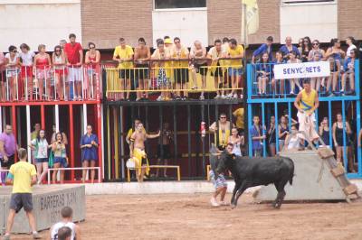 Fotografia /Galeria/2012/7/70023_37209/6_M1.jpg