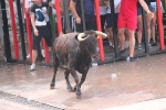 Hermanos Marcén debuta con una gran tarde de vacas y supera a F. Machancoses