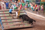 Hermanos Marcén debuta con una gran tarde de vacas y supera a F. Machancoses