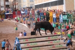 Hermanos Marcén debuta con una gran tarde de vacas y supera a F. Machancoses