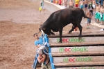 Hermanos Marcén debuta con una gran tarde de vacas y supera a F. Machancoses