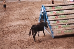Hermanos Marcén debuta con una gran tarde de vacas y supera a F. Machancoses