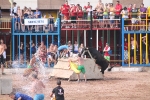 Hermanos Marcén debuta con una gran tarde de vacas y supera a F. Machancoses