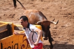 Hermanos Marcén debuta con una gran tarde de vacas y supera a F. Machancoses
