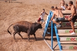 Hermanos Marcén debuta con una gran tarde de vacas y supera a F. Machancoses