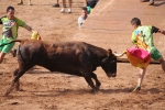 Hermanos Marcén debuta con una gran tarde de vacas y supera a F. Machancoses