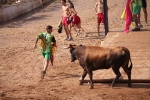 Hermanos Marcén debuta con una gran tarde de vacas y supera a F. Machancoses