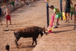 Hermanos Marcén debuta con una gran tarde de vacas y supera a F. Machancoses