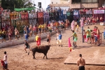 Hermanos Marcén debuta con una gran tarde de vacas y supera a F. Machancoses