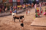 Hermanos Marcén debuta con una gran tarde de vacas y supera a F. Machancoses