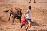 Hermanos Marcén debuta con una gran tarde de vacas y supera a F. Machancoses