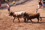 Hermanos Marcén debuta con una gran tarde de vacas y supera a F. Machancoses
