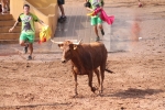 Hermanos Marcén debuta con una gran tarde de vacas y supera a F. Machancoses