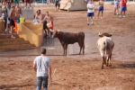 Hermanos Marcén debuta con una gran tarde de vacas y supera a F. Machancoses