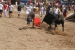 Encierro rápido y limpio el del sábado en Les Penyes en Festes