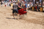 Encierro rápido y limpio el del sábado en Les Penyes en Festes