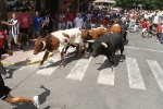 Encierro rápido y limpio el del sábado en Les Penyes en Festes