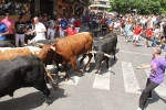 Encierro rápido y limpio el del sábado en Les Penyes en Festes