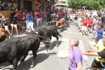 Encierro rápido y limpio el del sábado en Les Penyes en Festes