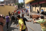 Encierro rápido y limpio el del sábado en Les Penyes en Festes