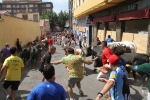 Encierro rápido y limpio el del sábado en Les Penyes en Festes