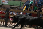 Encierro rápido y limpio el del sábado en Les Penyes en Festes