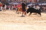 Encierro rápido y limpio el del sábado en Les Penyes en Festes